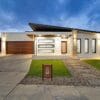 Bonner 83 Henry Williams Street_20